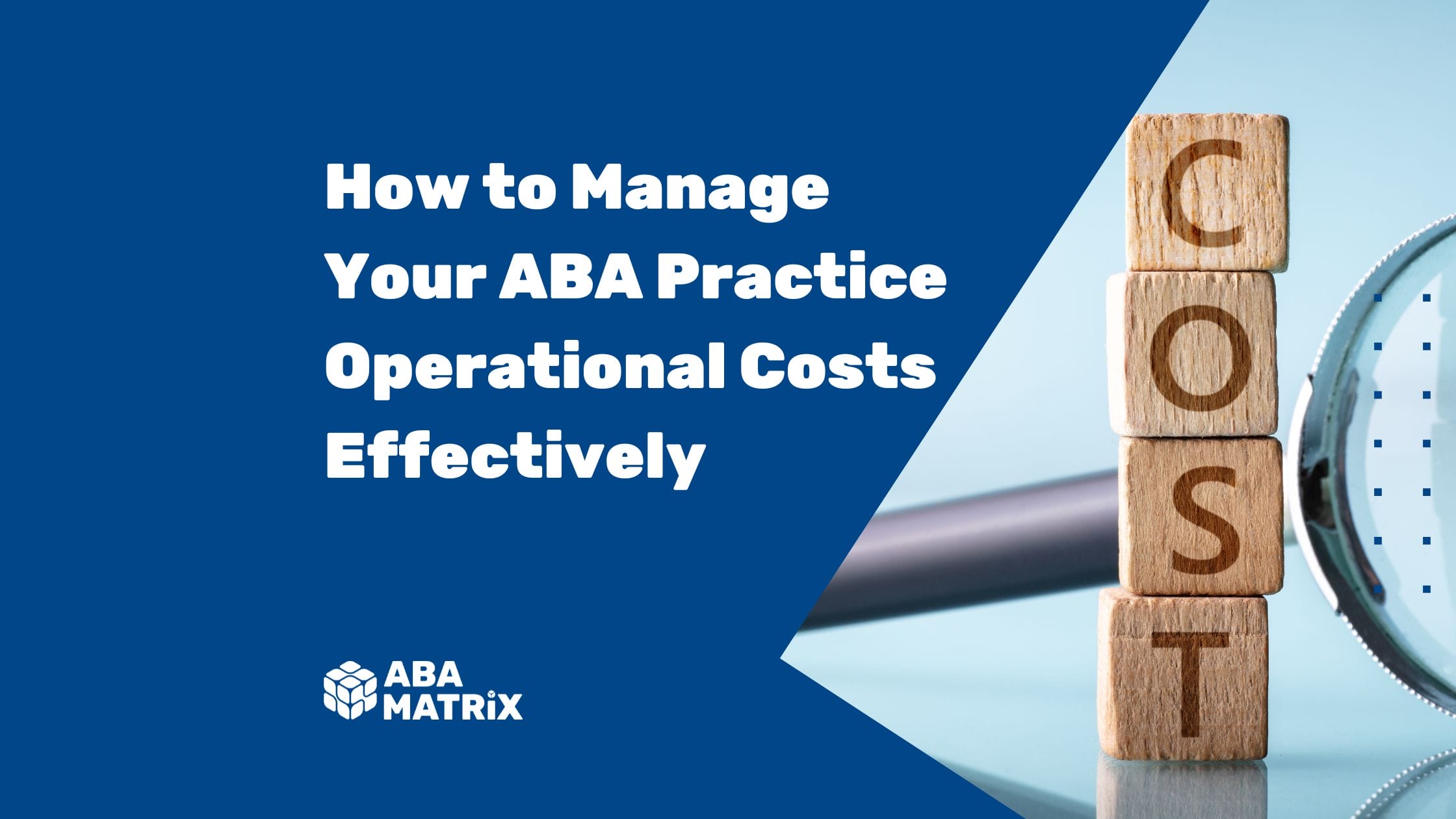 BA Practice Operational Costs